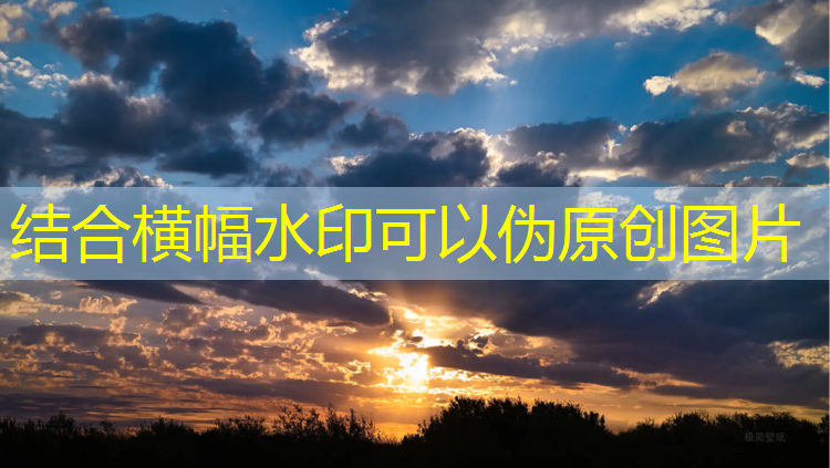 蔡家哪里有乒乓球台腾竞体育首页