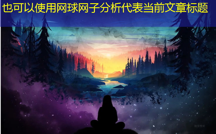 网球网子分析