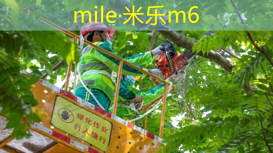 mile·米乐m6：四对网球拍的英文翻译