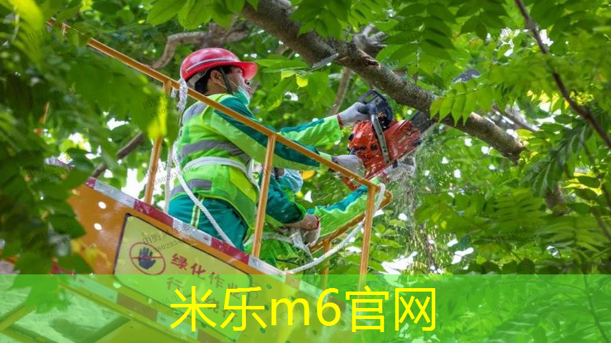 mile·米乐m6：超级玛丽奥网球拍怎么获得