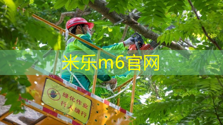 mile米乐m6官网：网球拍怎么辨别碳素的好坏