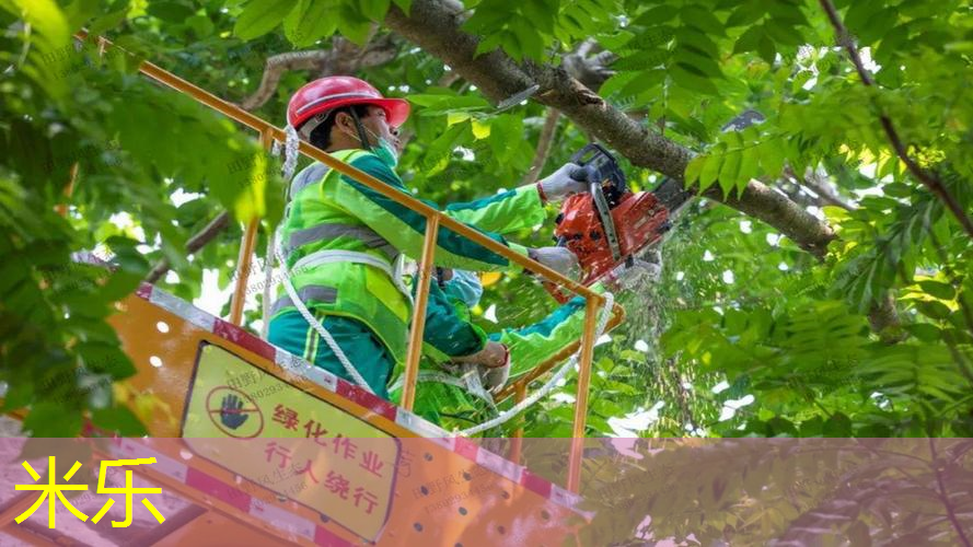mile米乐m6官网：迪卡侬网球拍720系列
