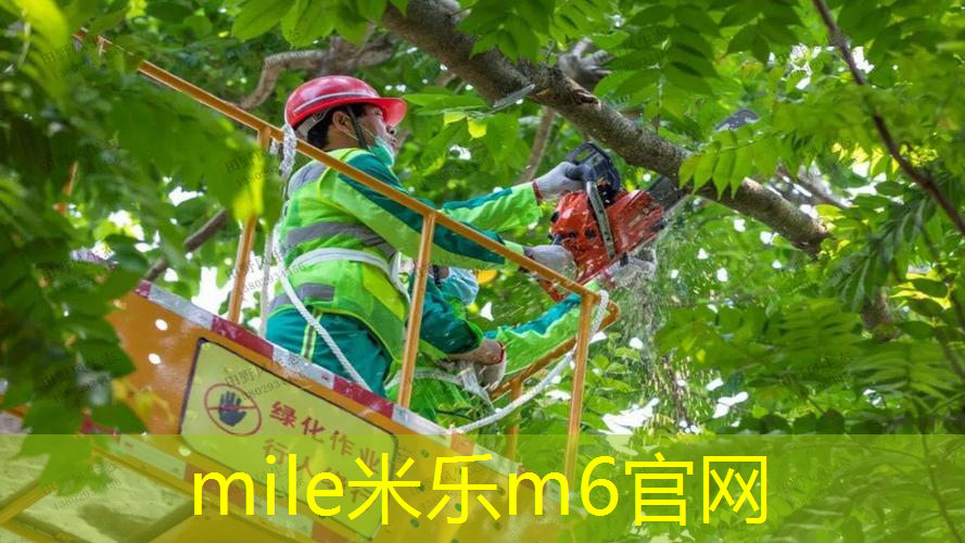 米乐：网球拍如何断拍线图解