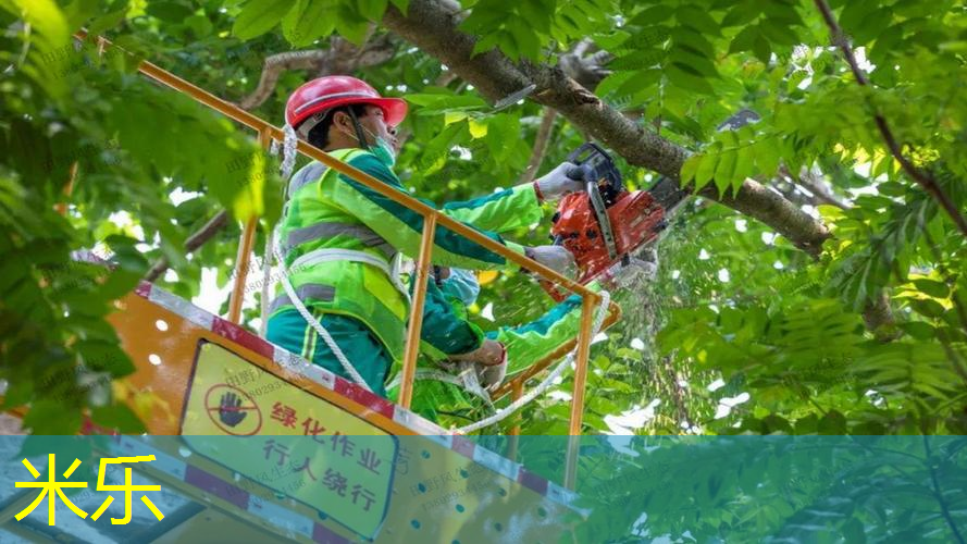 米乐：网球拍没有避震器有影响吗_