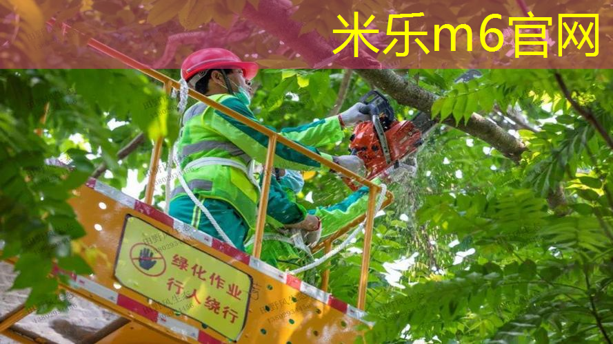 mile·米乐m6：威尔逊网球拍职业级