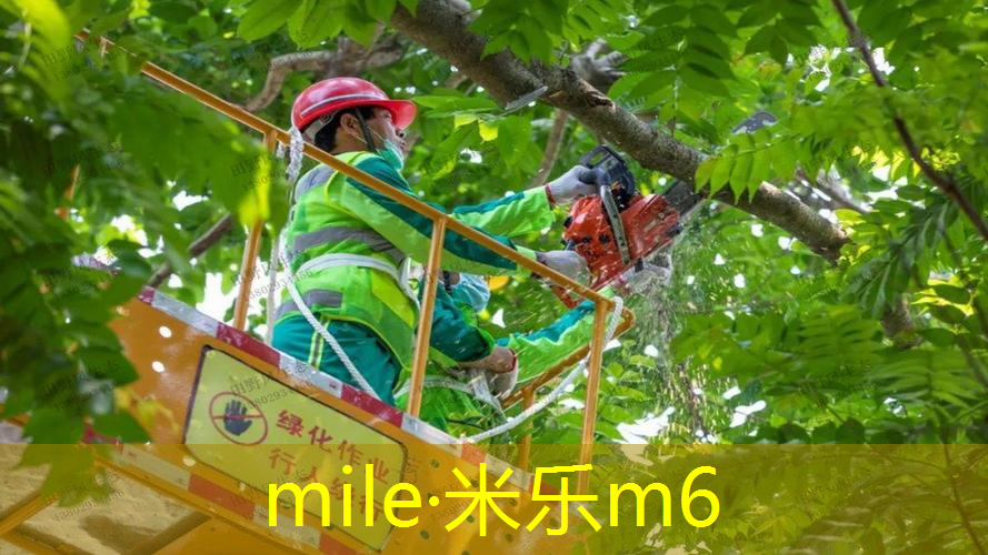 米乐m6官网登录入口：一款可以减压的网球拍