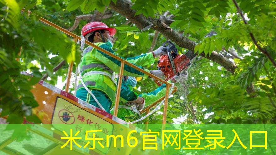 米乐m6官网登录入口：碳素5092网球拍怎么样