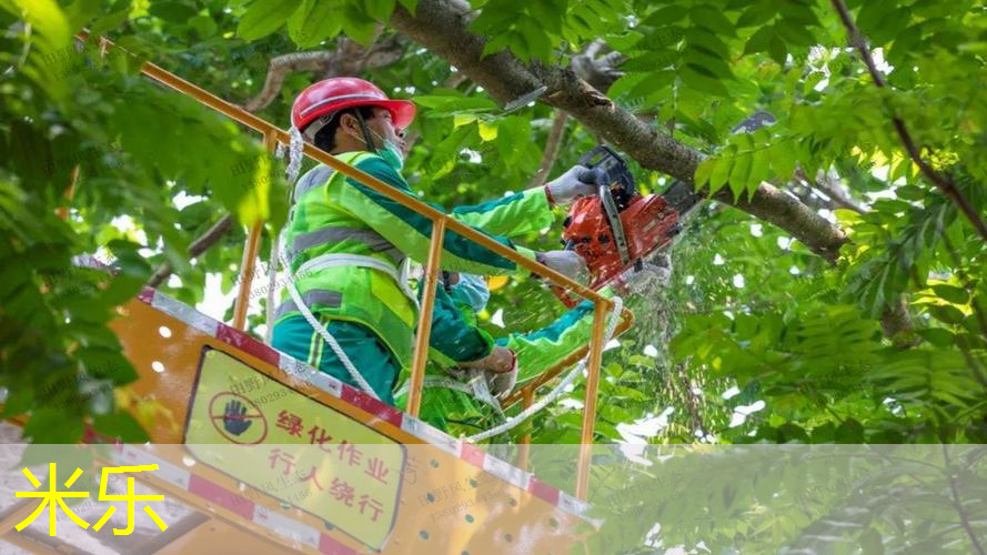 mile米乐m6官网：网球拍网线都歪了怎么办