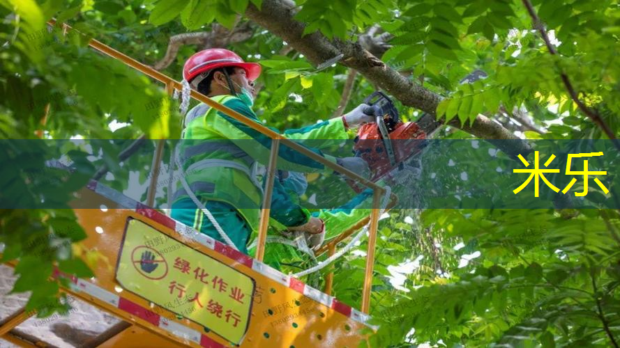 米乐m6官网：网球拍的网什么材料做的