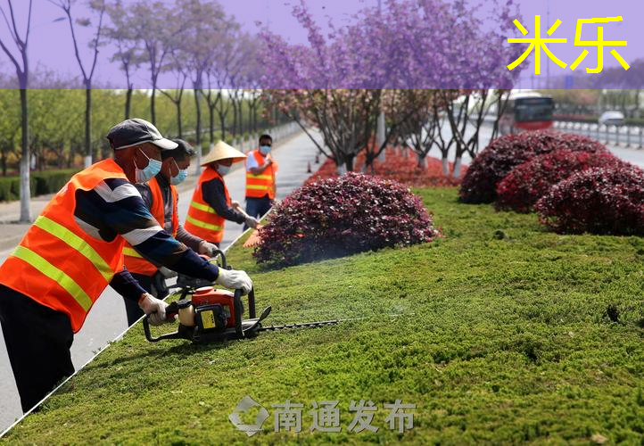 红双喜网球拍哪款好