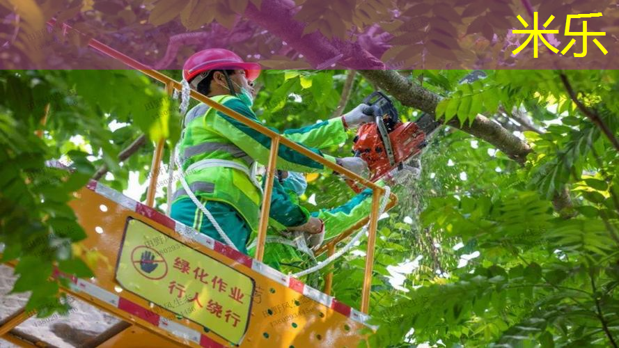 米乐m6官网登录入口：王子网球拍发黄怎么洗掉