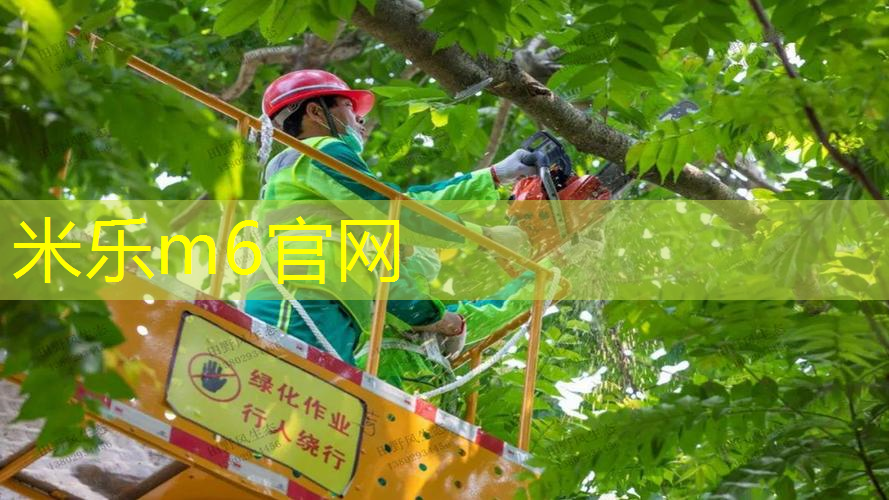 米乐：500元入门网球拍怎么选