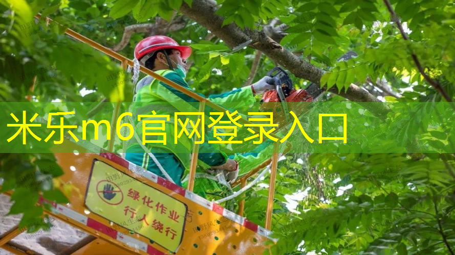 mile·米乐m6：过了新手期的网球拍怎么选