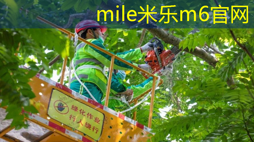 米乐：毛瑞斯莫钻石网球拍