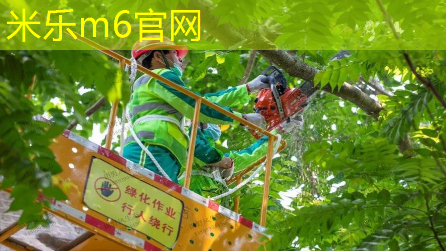 米乐：女的能用男士网球拍吗_