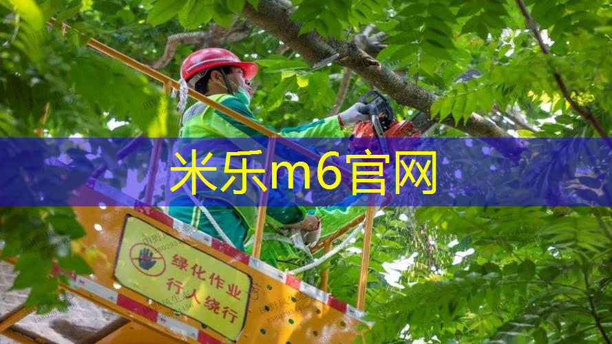 网球拍打毽子怎么打的准