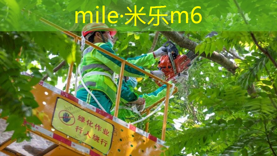 网球拍配重35克什么意思