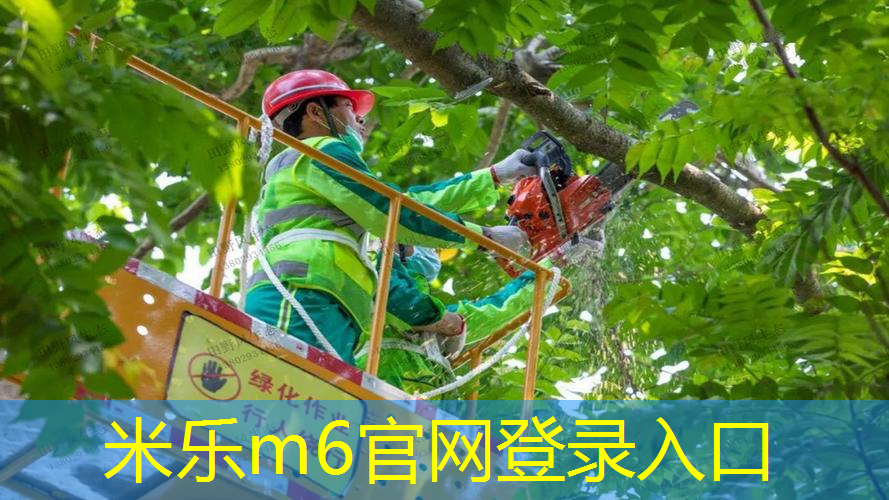 米乐：家里桌子当乒乓球台好吗