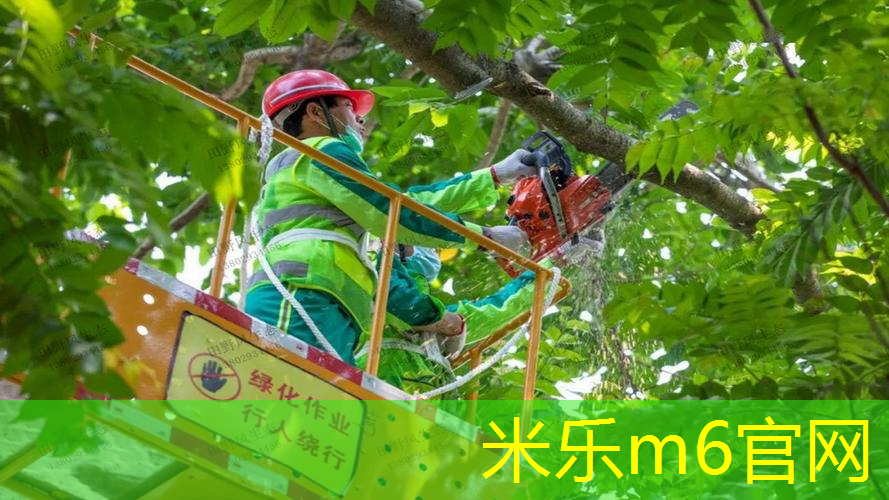 米乐m6官网登录入口：乒乓球台刷油怎么刷好呢