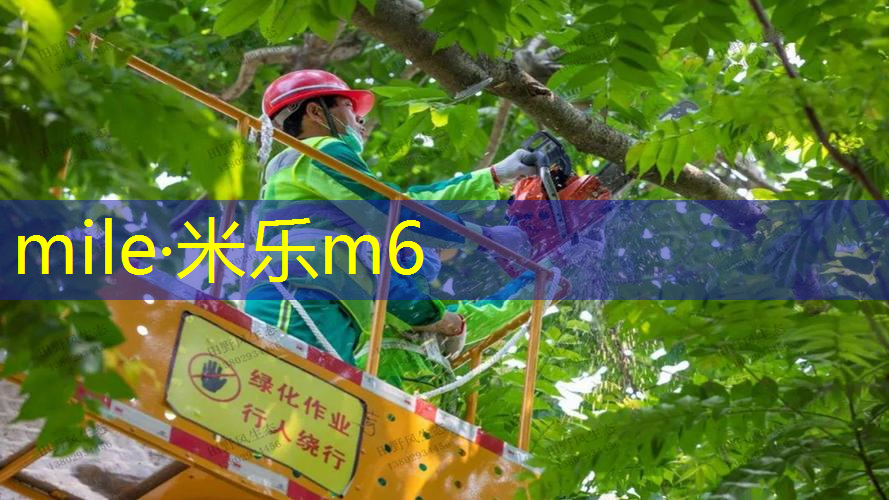 mile米乐m6官网：乒乓球台泡水怎么修复
