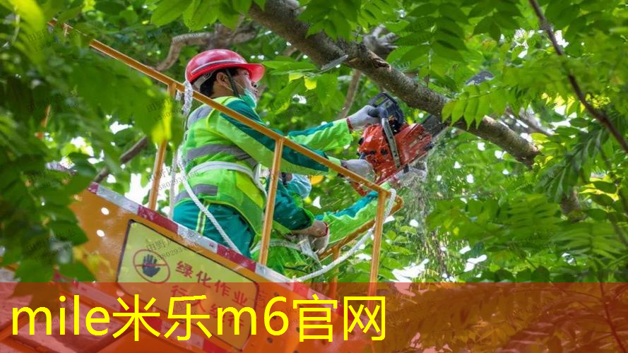 四对网球拍的英文翻译