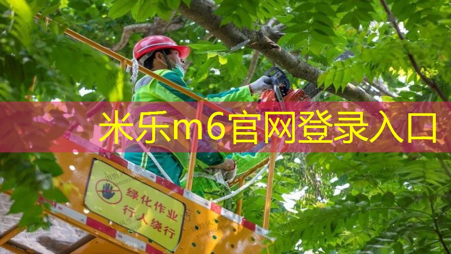 网球拍怎么辨别碳素的好坏