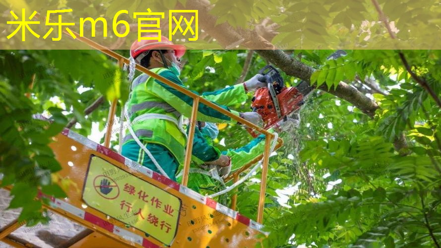 迪卡侬网球拍720系列