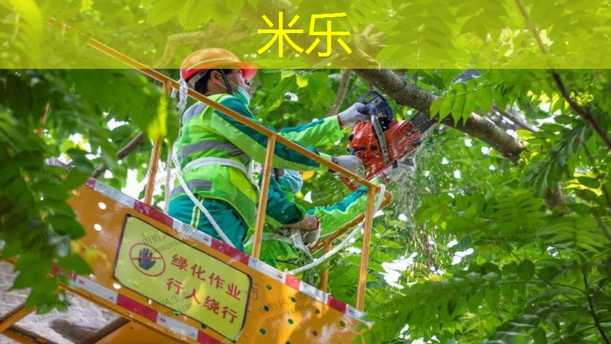 网球拍如何断拍线图解