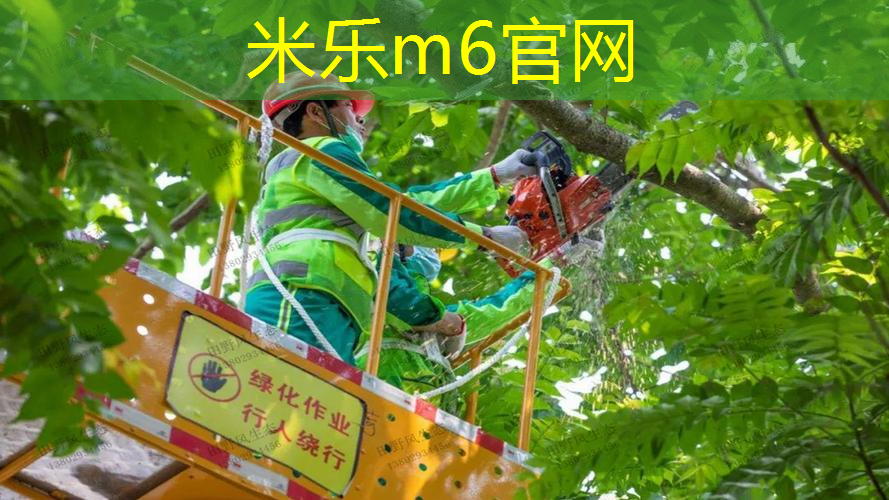 网球拍没有避震器有影响吗_