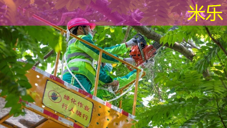 威尔逊网球拍职业级