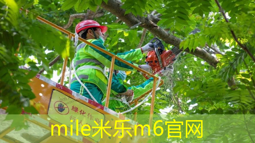 一款可以减压的网球拍