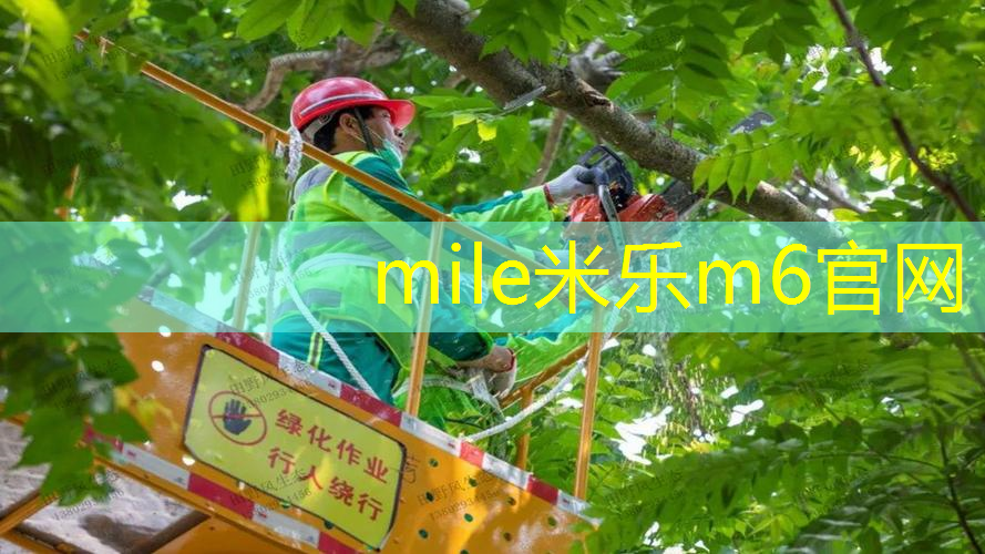 碳素5092网球拍怎么样
