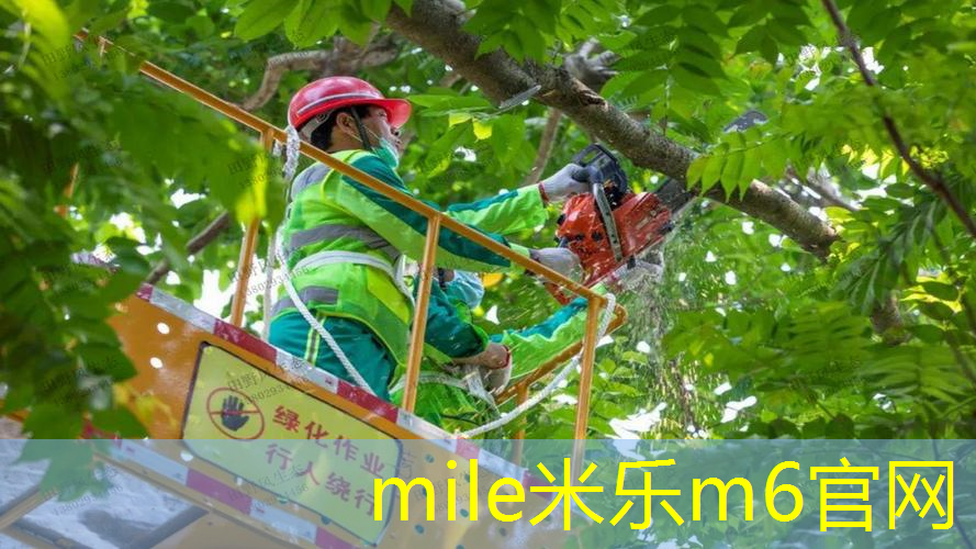 网球拍网线都歪了怎么办