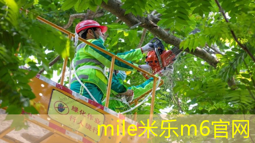 网球拍的网什么材料做的