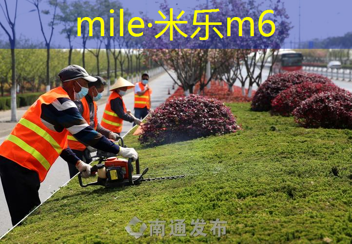红双喜网球拍哪款好