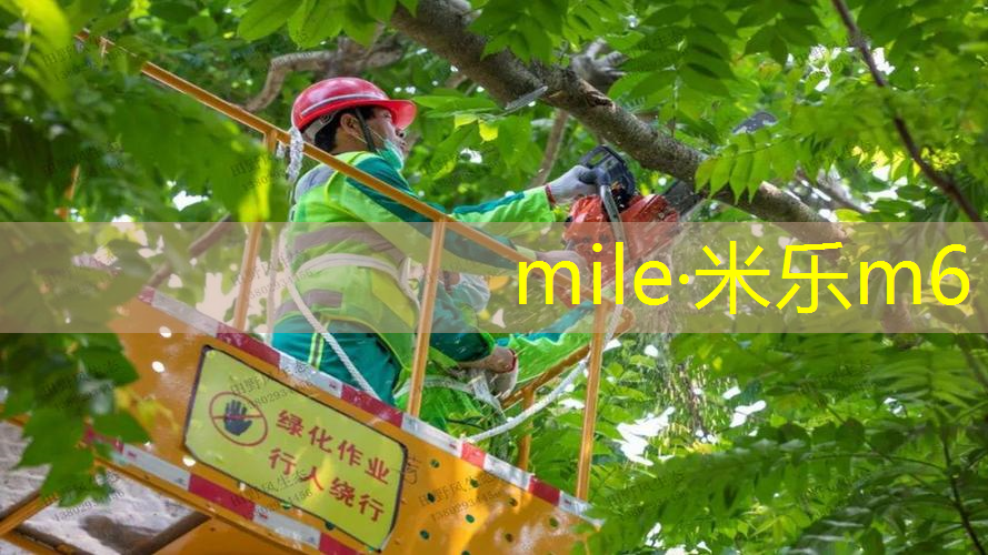 王子网球拍发黄怎么洗掉