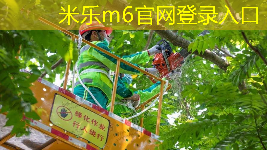500元入门网球拍怎么选
