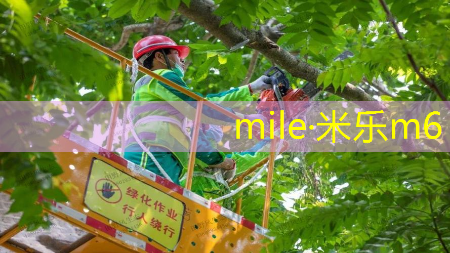 过了新手期的网球拍怎么选
