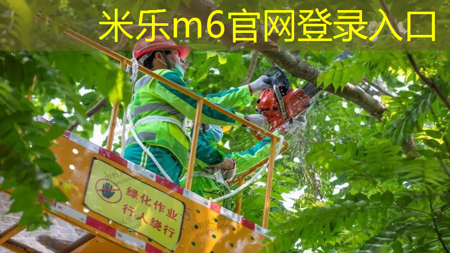 毛瑞斯莫钻石网球拍