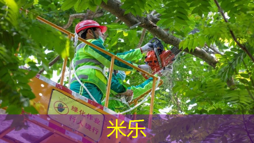 女的能用男士网球拍吗_
