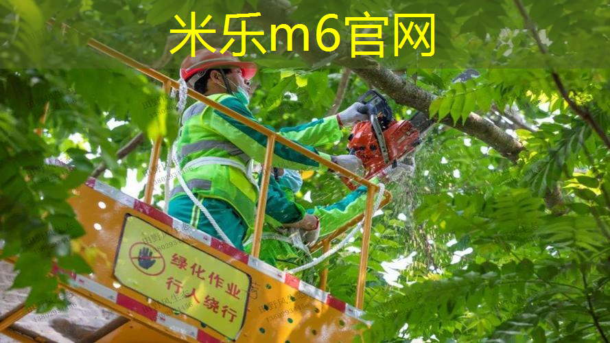网球拍配重35克什么意思