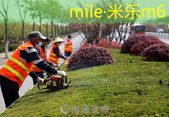 乒乓球台出现裂纹