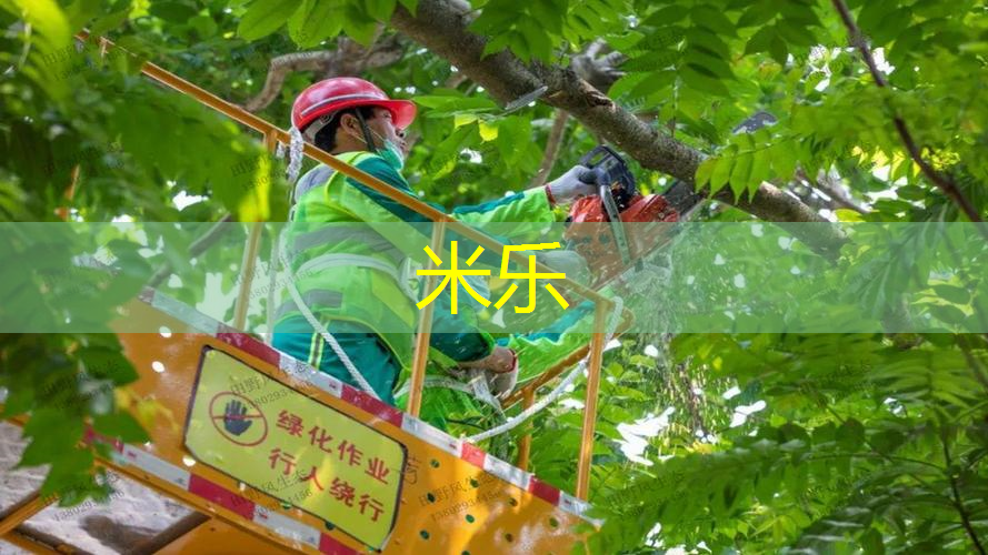 乒乓球台刷油怎么刷好呢
