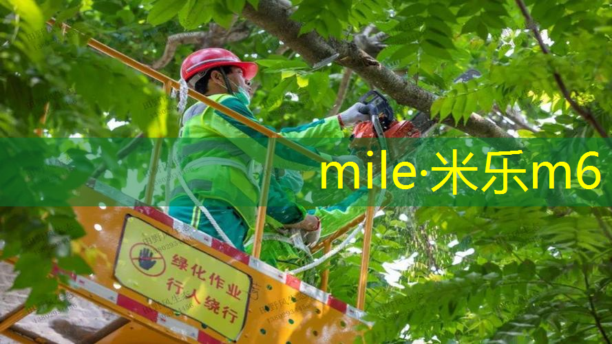 室内健身的体式是什么样的