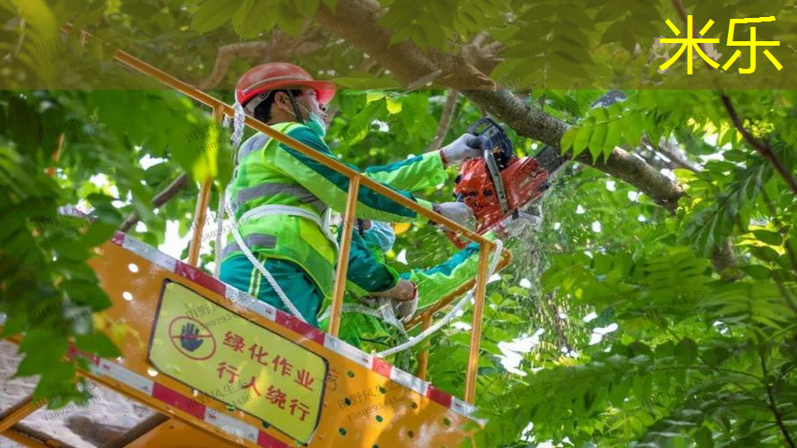 沉浸式室内运动健身器材