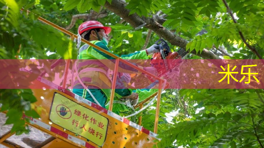 乒乓球台泡水怎么修复