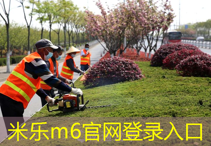 兼顾实用与美观，市政绿化景观草坪设计超越纯粹装饰功效！